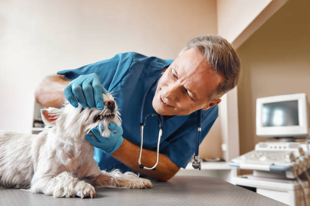 Best Emergency Dentist for Knocked-Out Tooth in Lake Park, NC